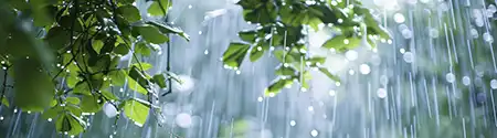 notes.Weather